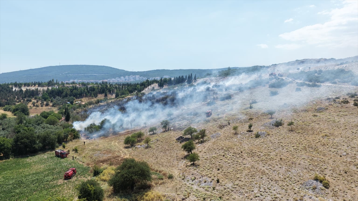 Muğla'da orman yangınına müdahale ediliyor