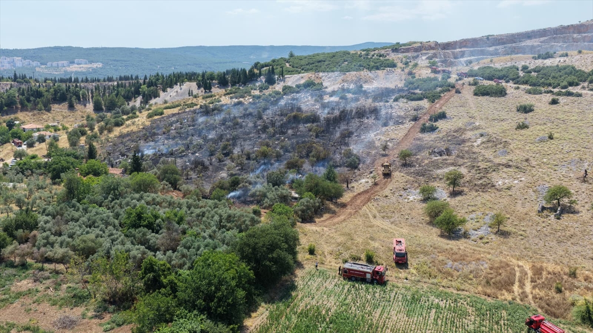 Muğla'da orman yangınına müdahale ediliyor