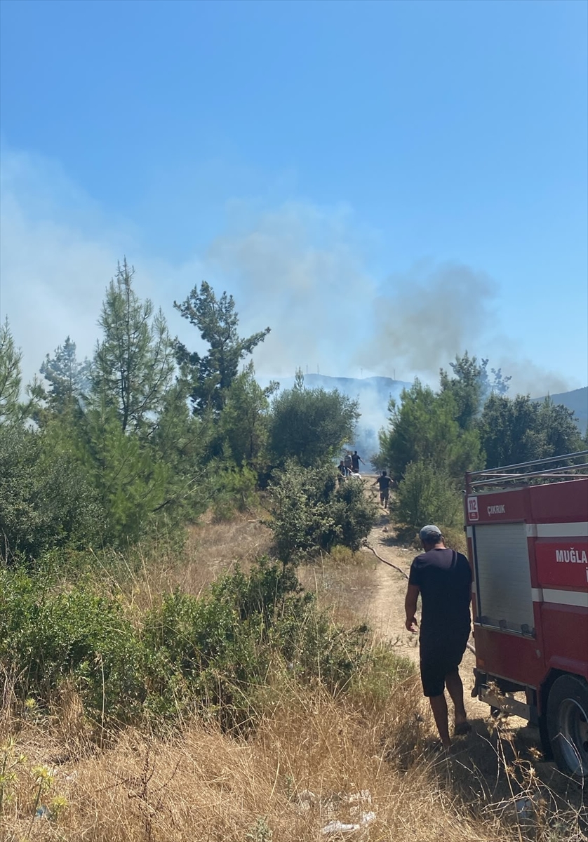 Bodrum'da makilik alanda yangın söndürüldü