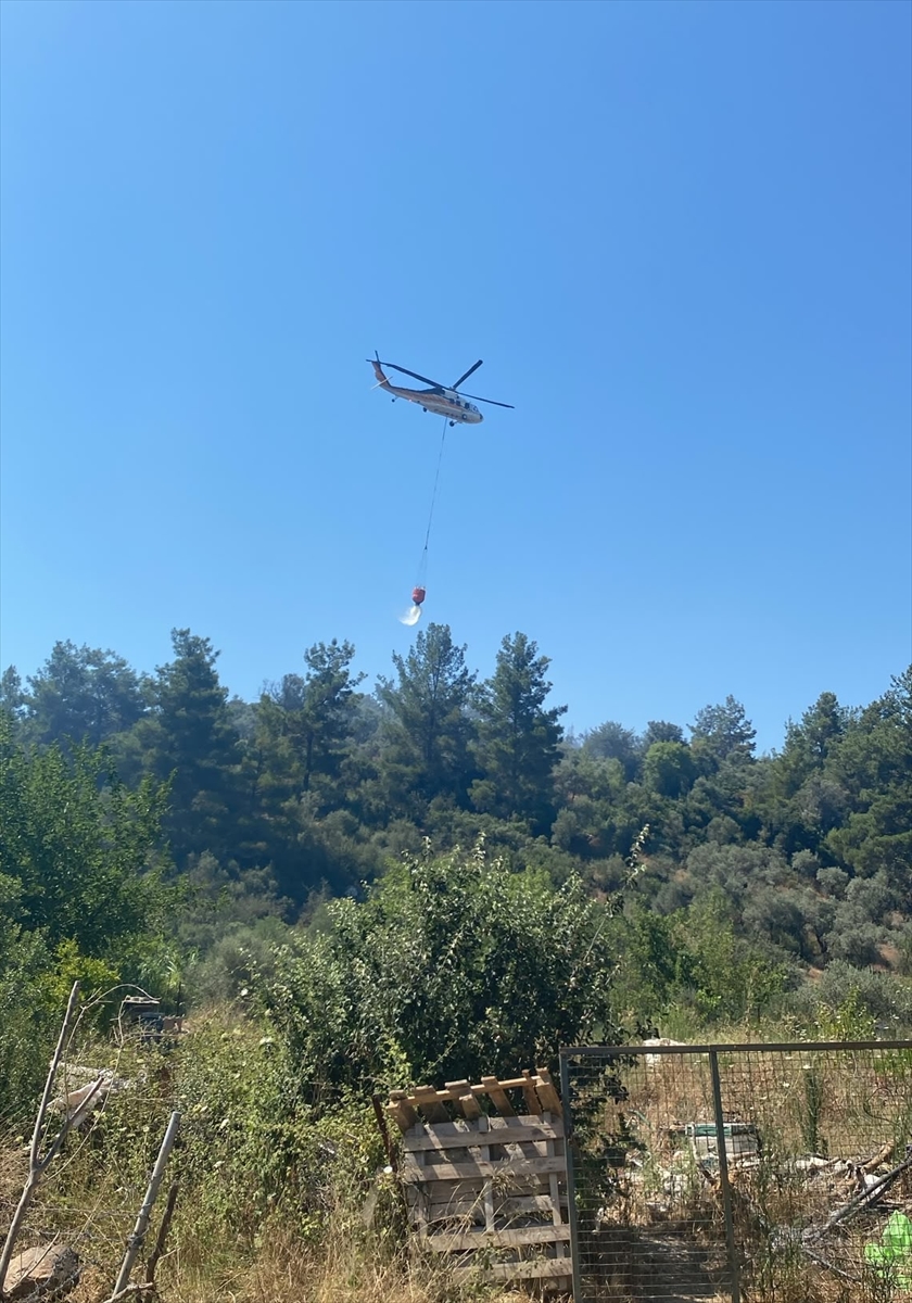 Bodrum'da makilik alanda yangın söndürüldü