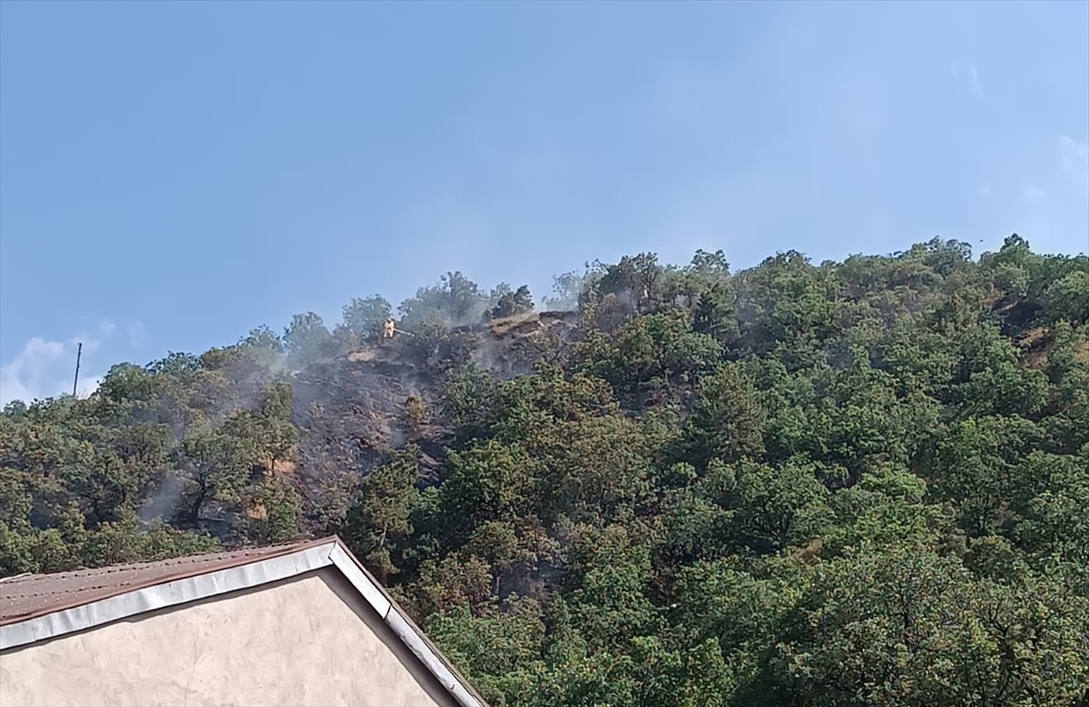 Kastamonu'da Orman Yangını Söndürüldü