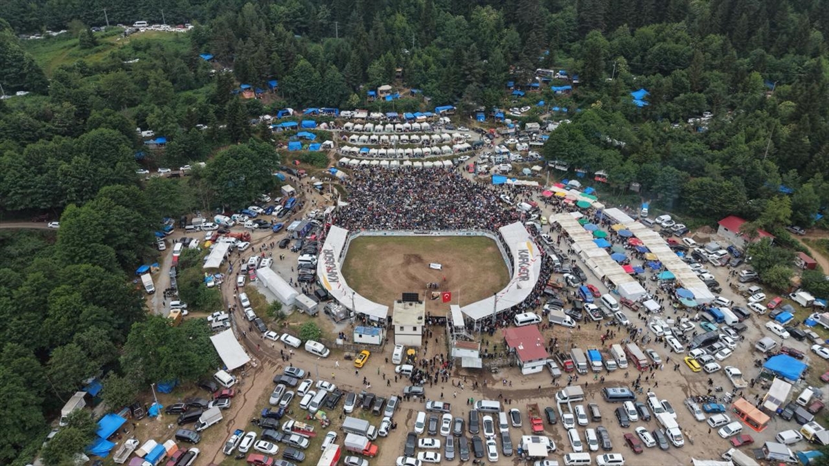 Artvin Festivali Boğa Güreşleriyle Sona Erdi