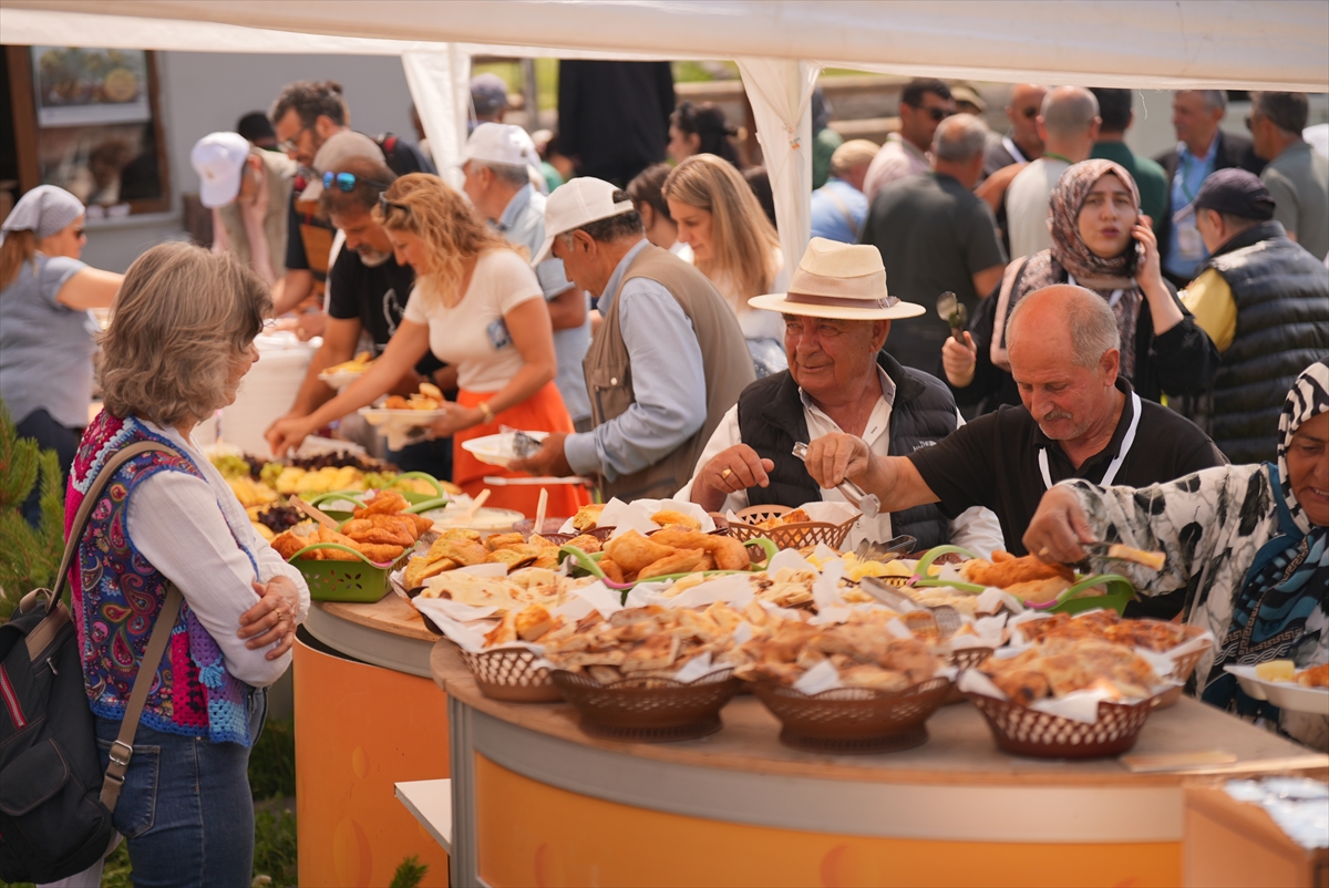 Kars Gastronomi Film Festivali Sona Erdi
