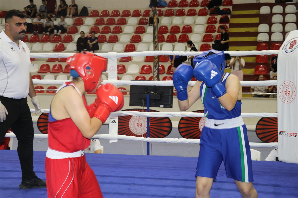 Türkiye Ferdi Boks Şampiyonası Amasya'da Başladı