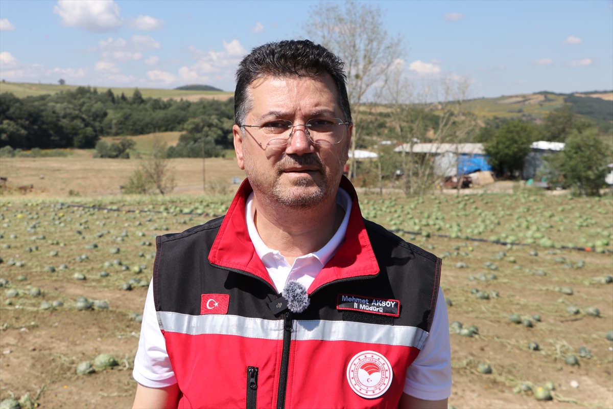 Tekirdağ'da dolu: 35 bin dekar tarım alanı zarar gördü