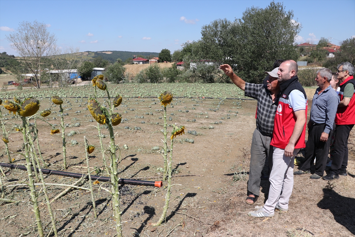 Tekirdağ'da dolu: 35 bin dekar tarım alanı zarar gördü