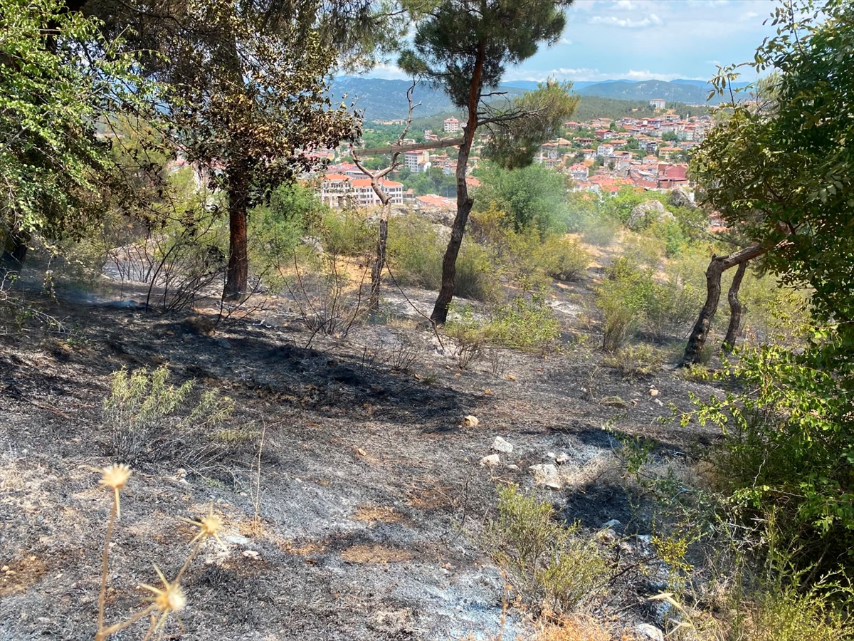 Sinop'ta Boyabat Kalesi eteklerinde yangın söndürüldü