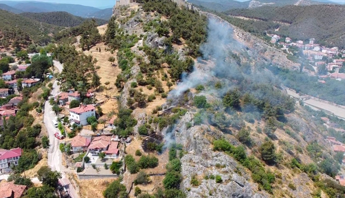 Sinop'ta Boyabat Kalesi eteklerinde yangın söndürüldü
