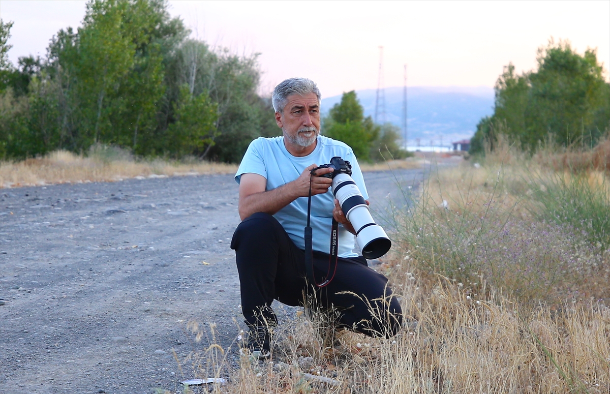 Öğretmen Bürke: Bingöl kuşlarını kitapta topluyorum