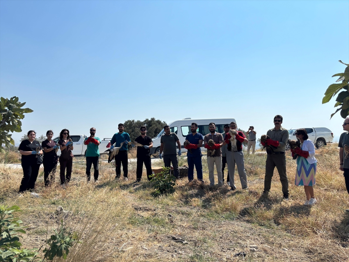 Hatay'da tedavi edilen 18 kuş doğaya salındı