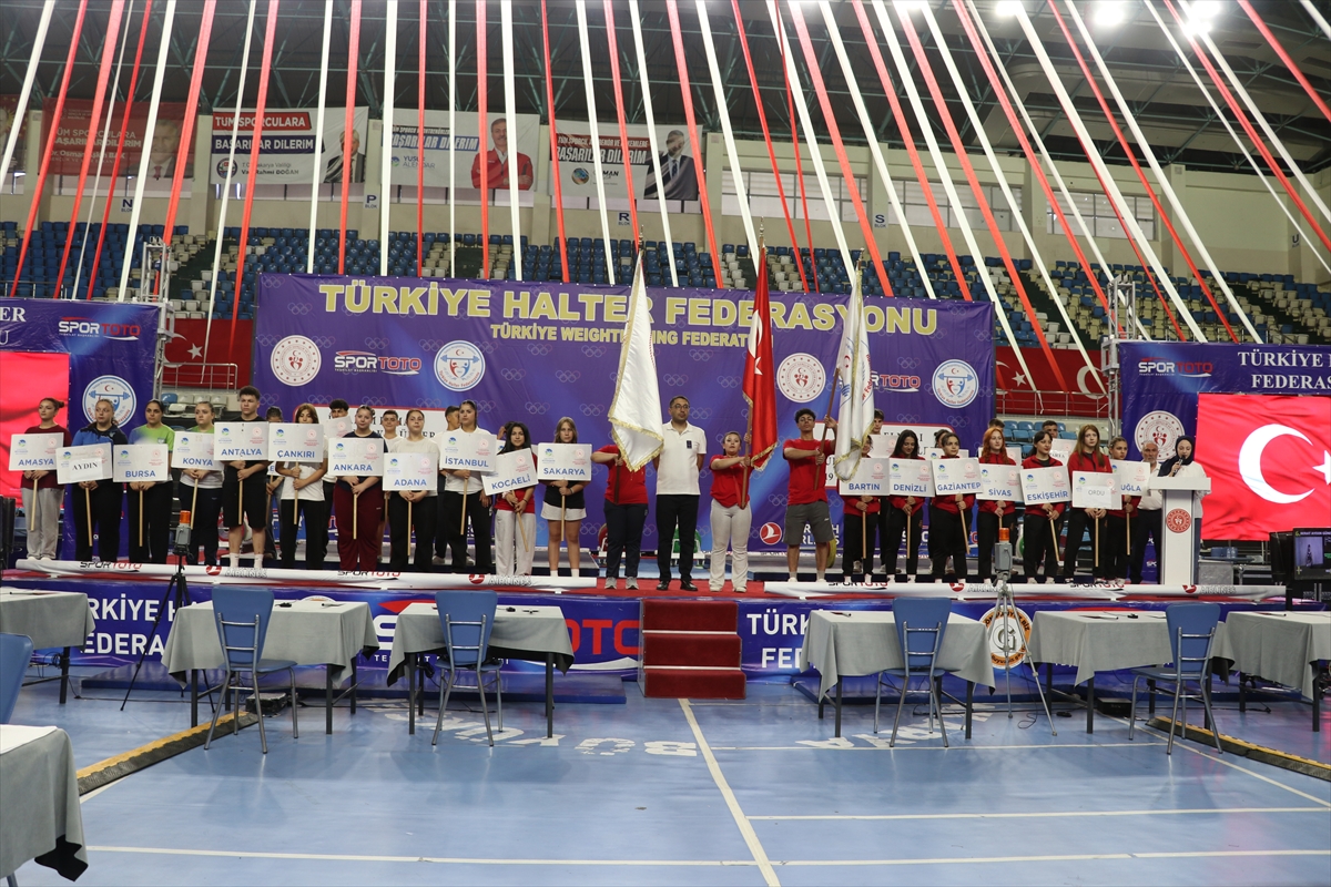 Halter Şampiyonası Sakarya'da Devam Ediyor