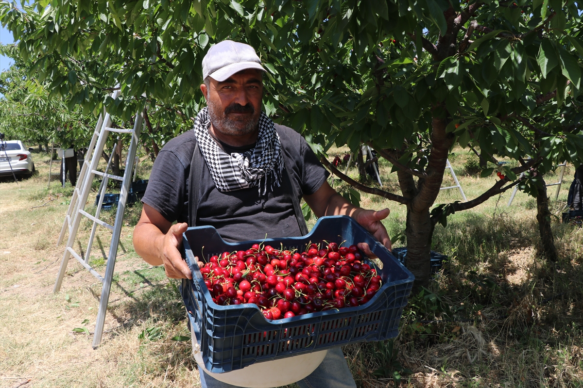 Yozgat köylüleri: Tarla birleştirme ile rekolte 30 kat arttı