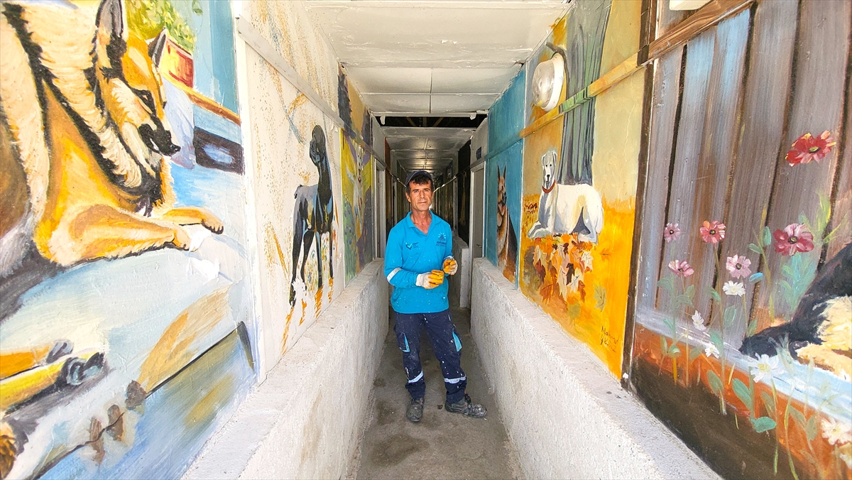 Belediye işçisi duvarları sanatıyla buluşturuyor