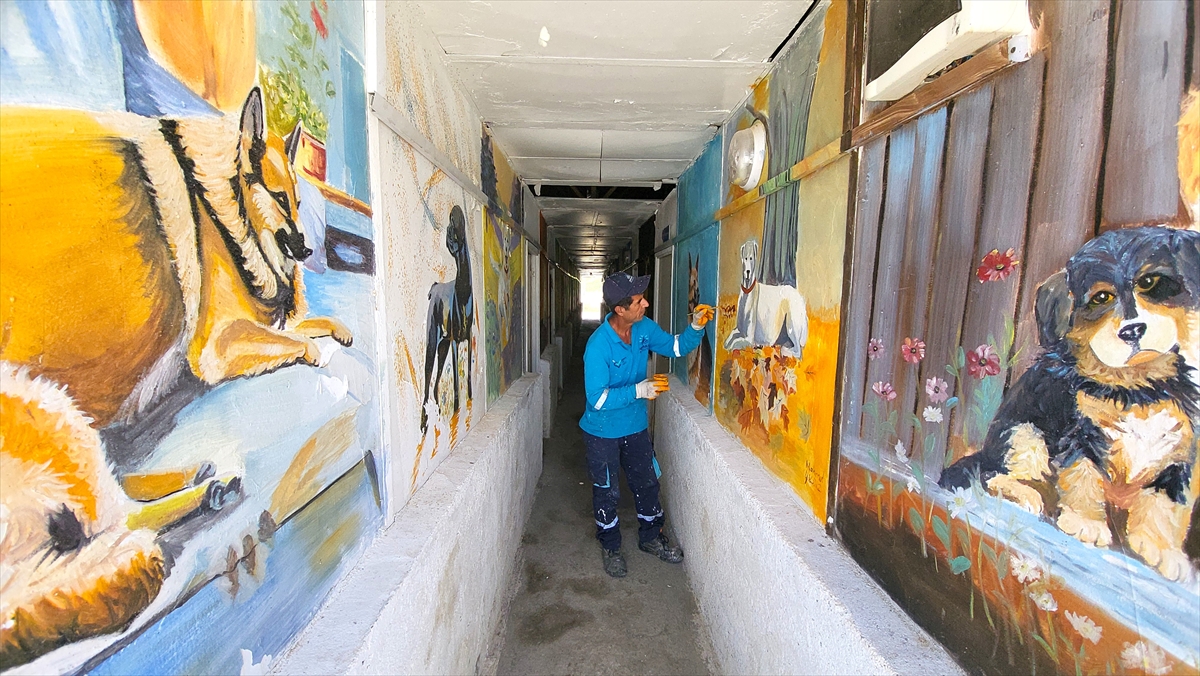 Belediye işçisi duvarları sanatıyla buluşturuyor