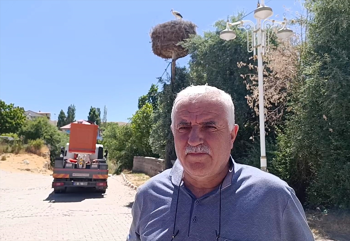 Sivas'ta yaralı leylek yavrusu yuvasına döndü