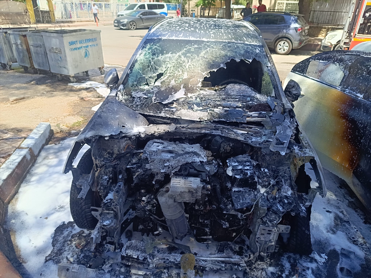 Siirt'te park halindeki 2 araç yandı