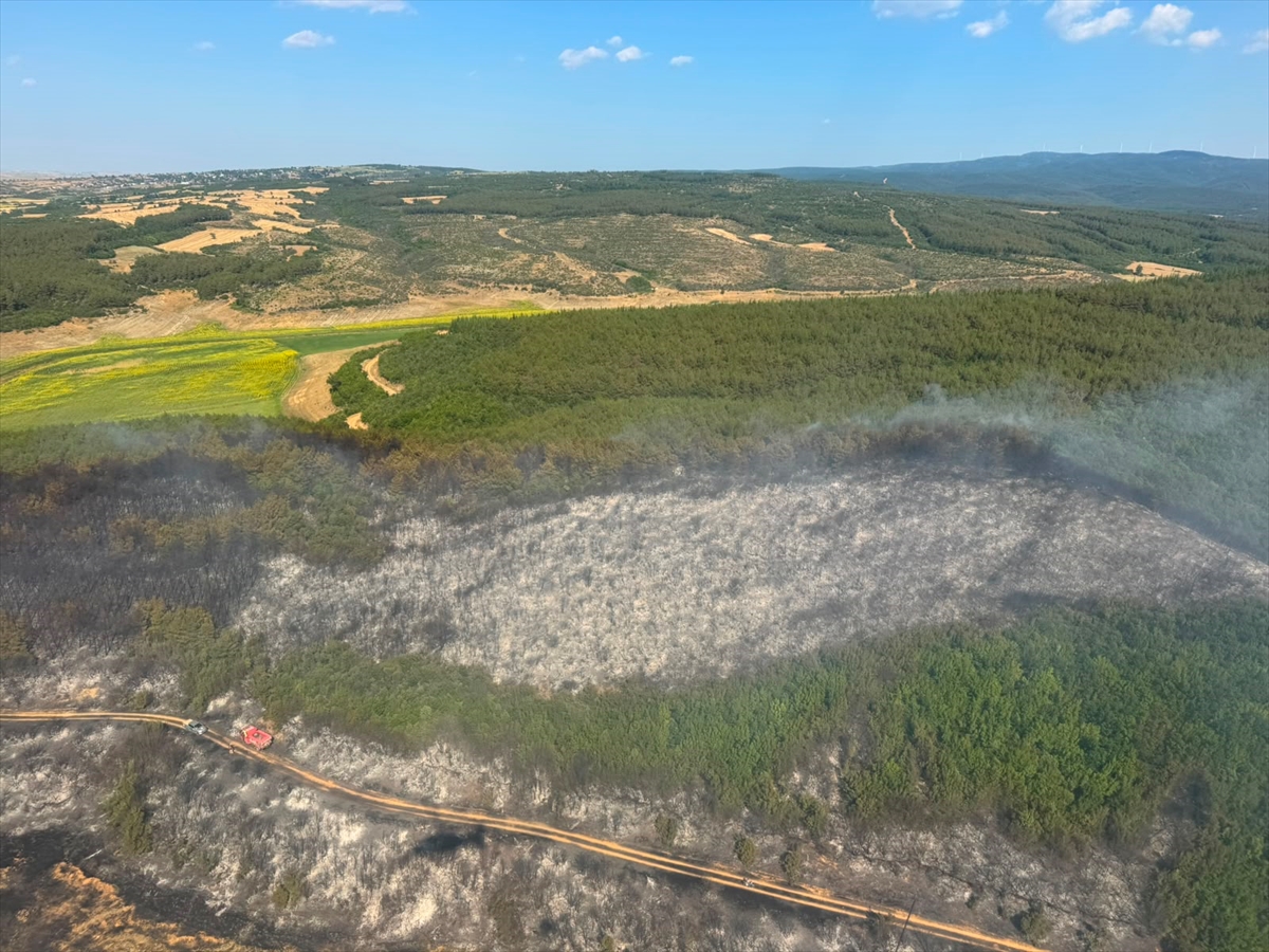 Tekirdağ'da çıkan orman yangını söndürüldü