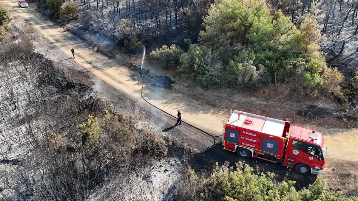 Tekirdağ'da çıkan orman yangını söndürüldü