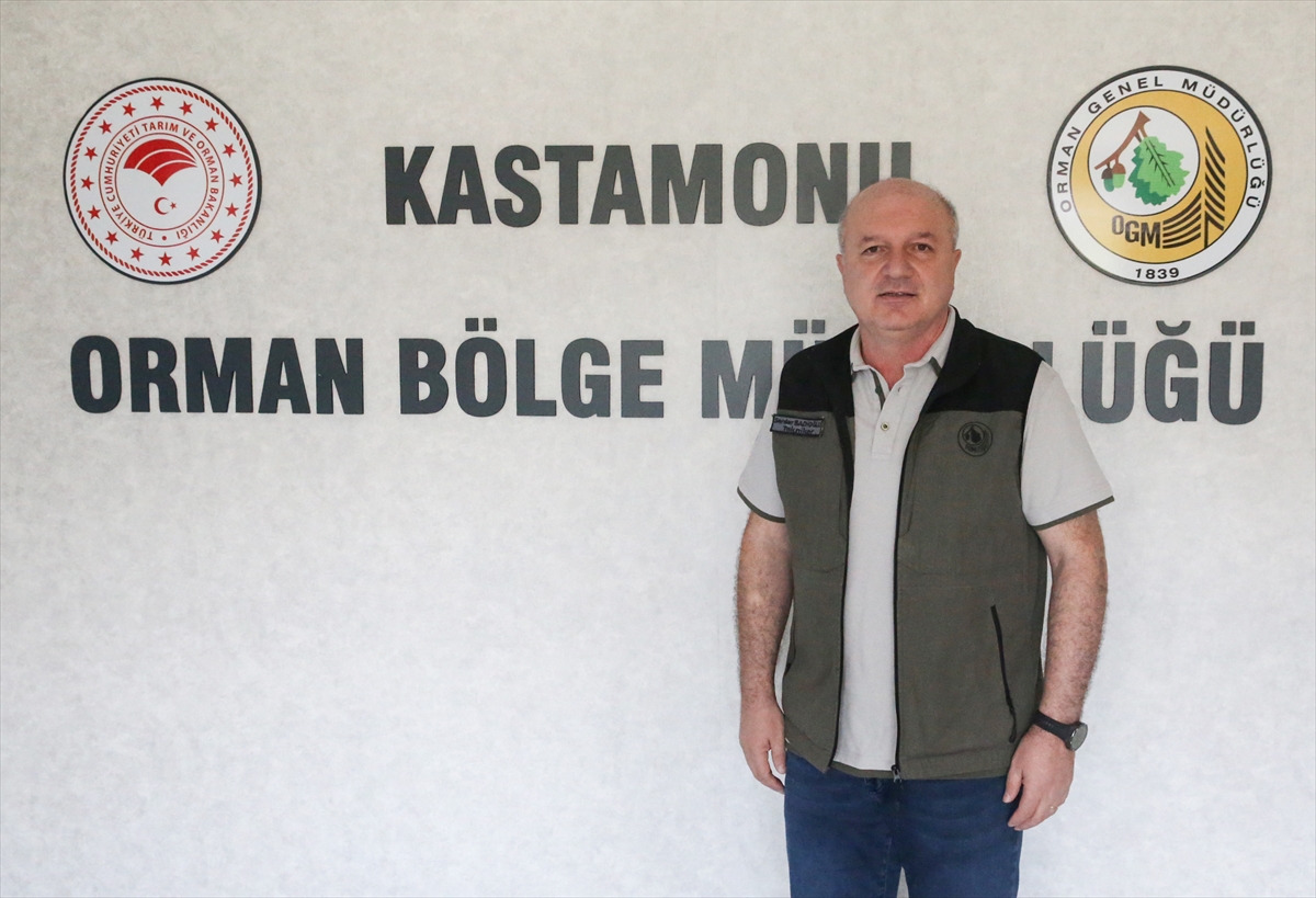 Kastamonu Ormancıları: Yeşil vatan için 7/24 alev nöbeti
