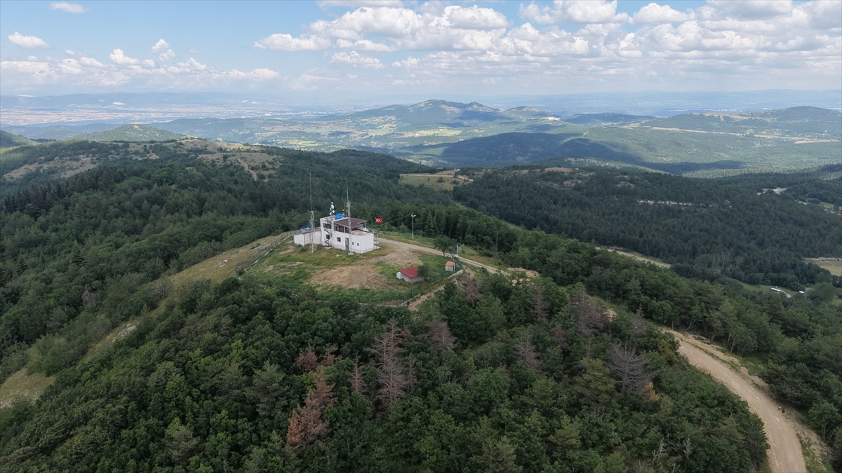 Kastamonu Ormancıları: Yeşil vatan için 7/24 alev nöbeti