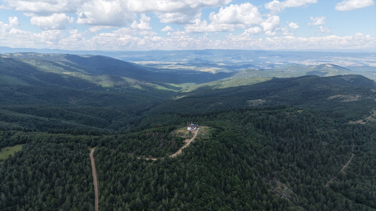Kastamonu Ormancıları: Yeşil vatan için 7/24 alev nöbeti