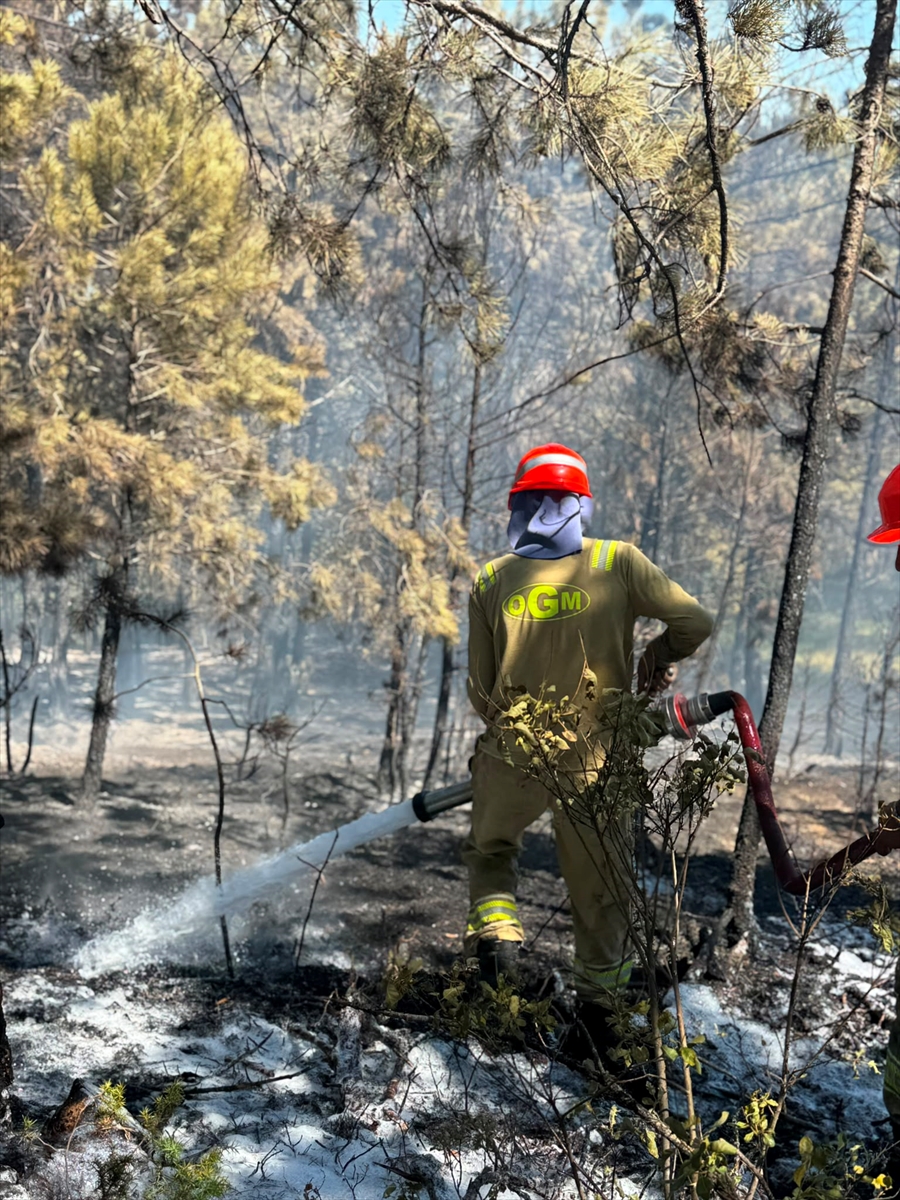 Kastamonu'da Orman Yangını Söndürüldü: Soğutma Sürüyor