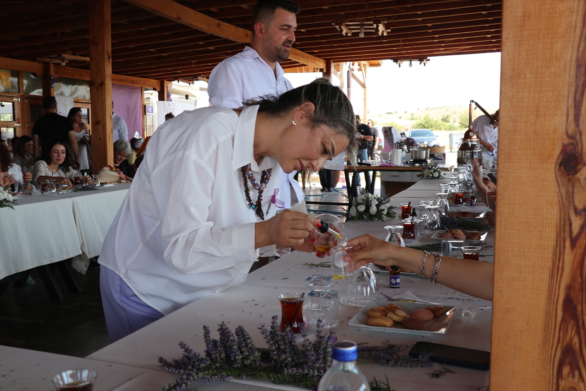 Burdur'da 2. Lavanta Hasat Günleri: Vali Bilgihan çağrısı