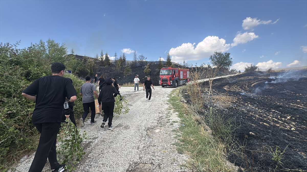 Edirne'de anız yangını: 30 dekar tarım arazisi kül oldu