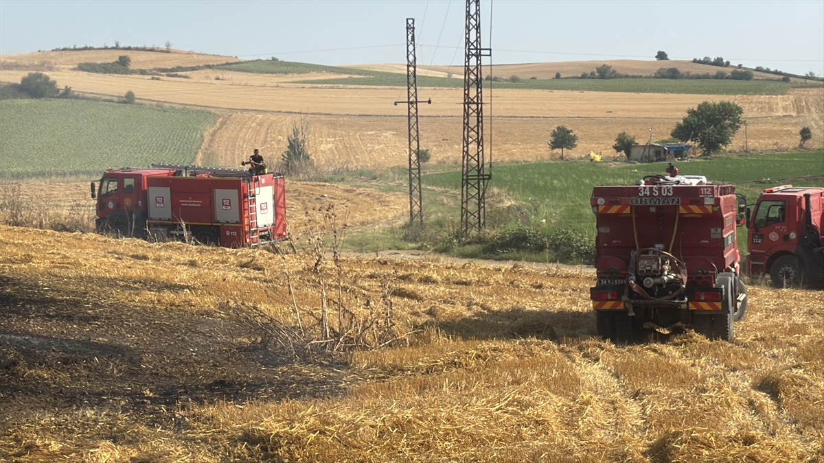 Edirne'de anız yangını: 30 dekar tarım arazisi kül oldu