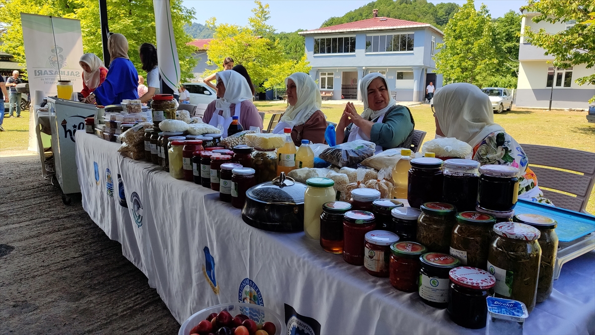 Samsun'da coğrafi işaretli Salıpazarı kestane balı hasadı başladı