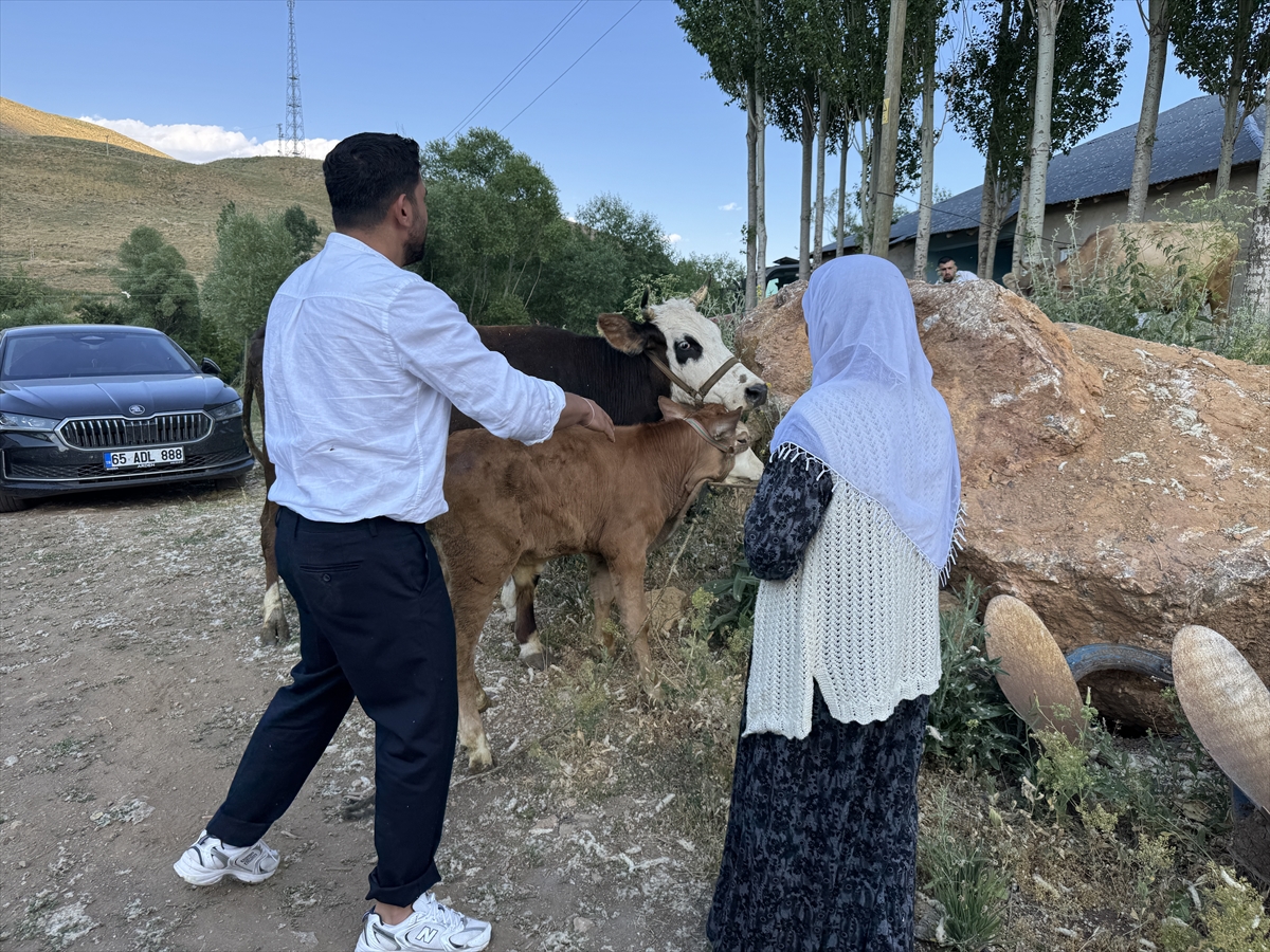 Ayni Özbek: Telef olan ineği yerine 2 inek, 2 buzağı geldi