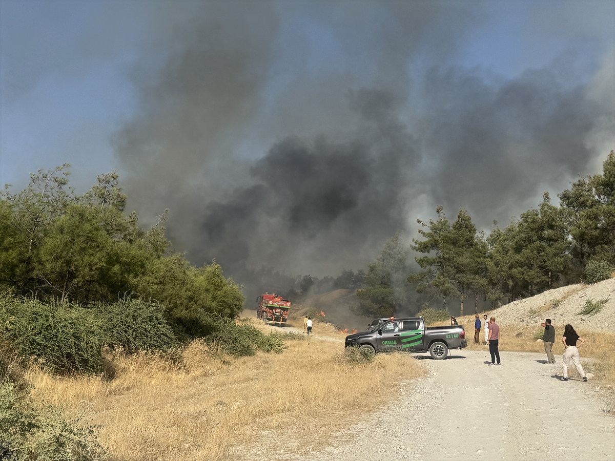 Şanlıurfa'da ormanlık alana sıçrayan yangın kontrol altına alındı