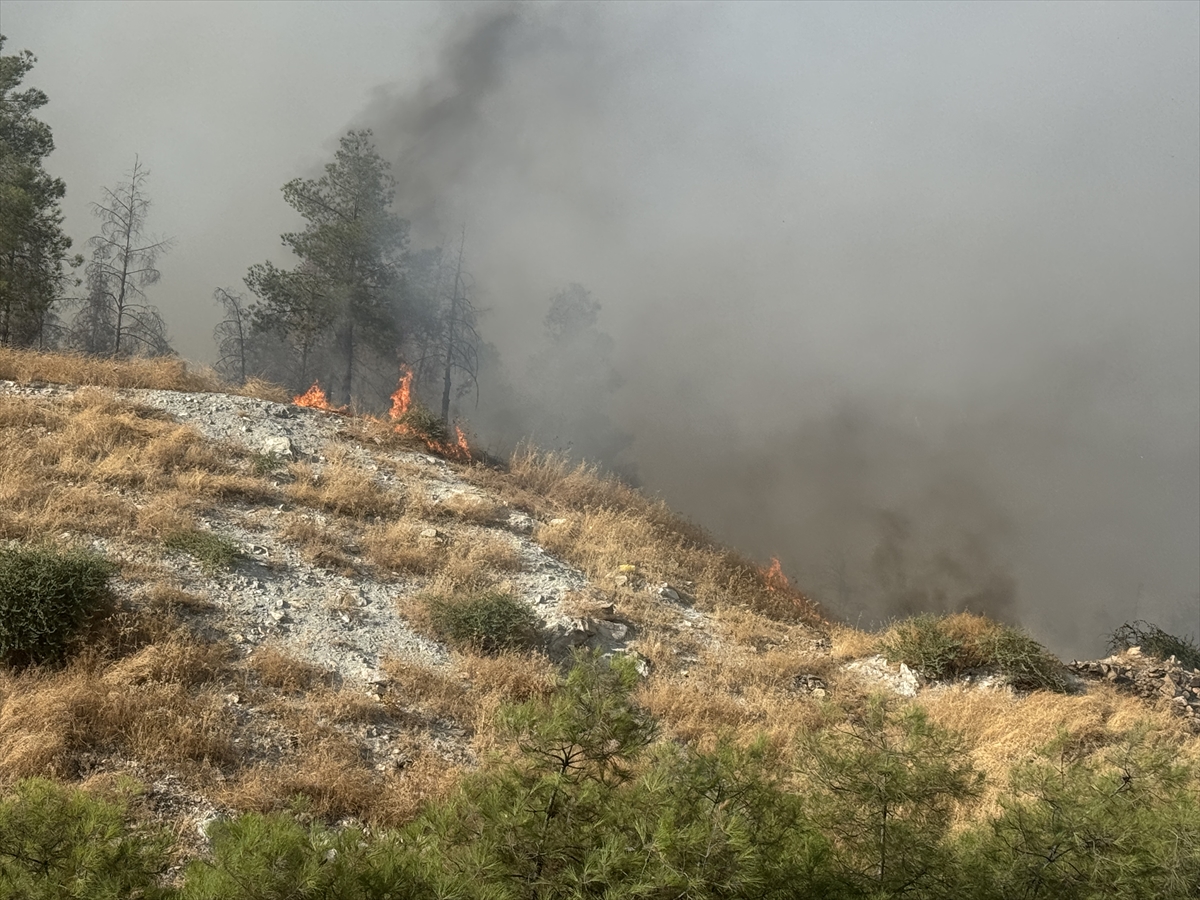 Şanlıurfa'da ormanlık alana sıçrayan yangın kontrol altına alındı