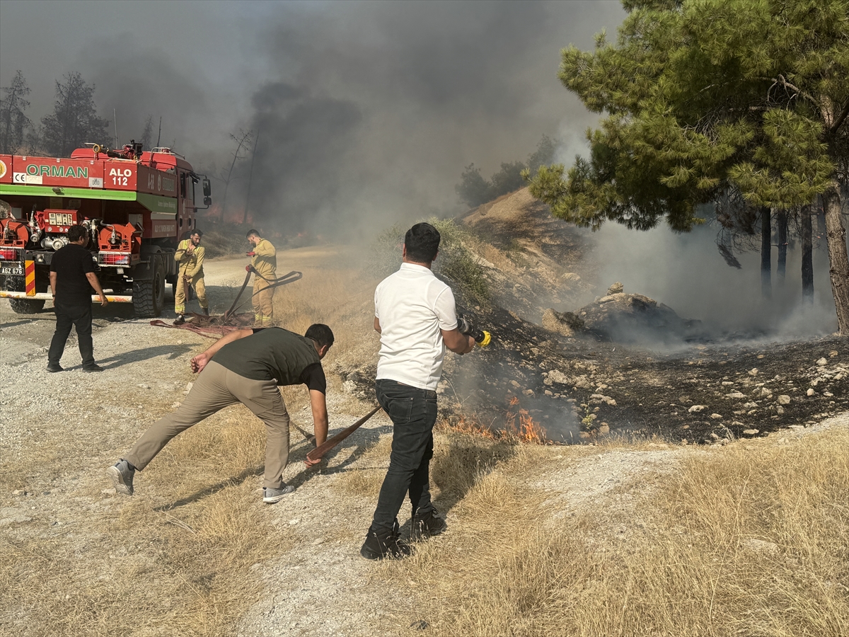 Şanlıurfa'da ormanlık alana sıçrayan yangın kontrol altına alındı