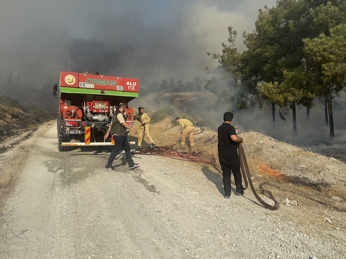 Şanlıurfa'da ormanlık alana sıçrayan yangın kontrol altına alındı