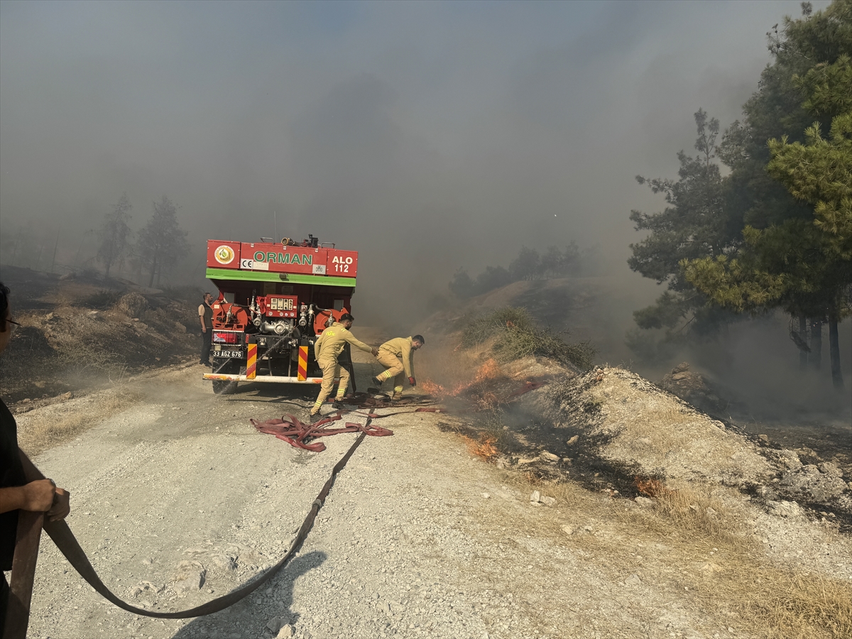 Şanlıurfa'da ormanlık alana sıçrayan yangın kontrol altına alındı