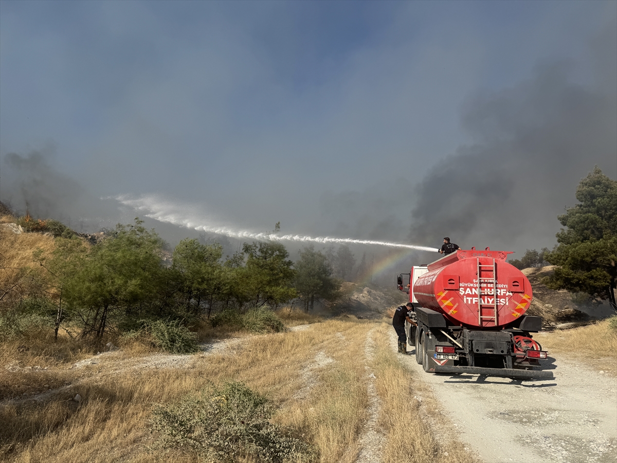 Şanlıurfa'da ormanlık alana sıçrayan yangın kontrol altına alındı