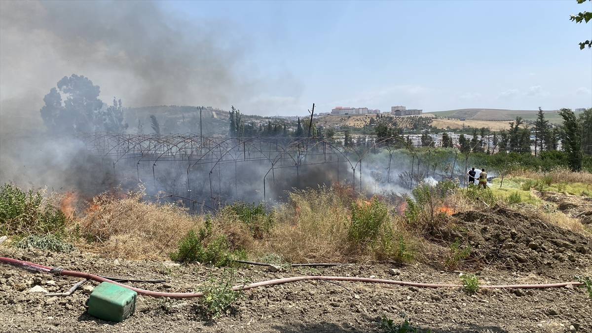 Hatay Kırıkhan'da Bahçe Yangını: Otomobil Kullanılamaz Hale Geldi
