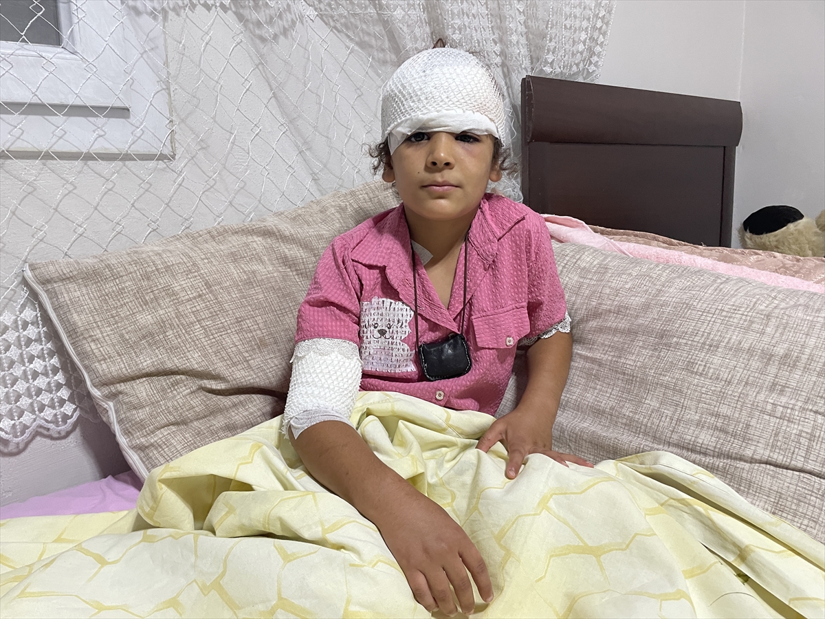 Şanlıurfa: Sahipsiz köpekler 8 yaşındaki Evin Bayo'yu yaraladı