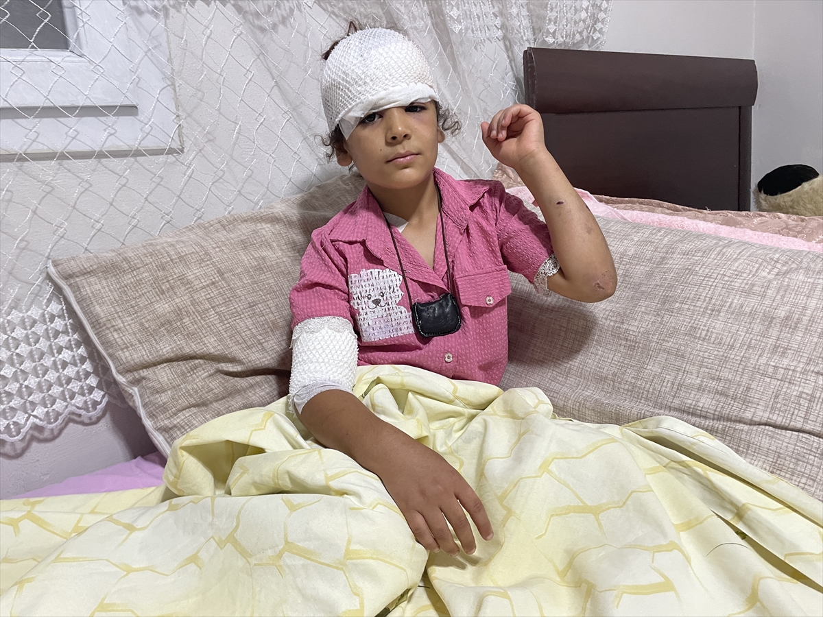 Şanlıurfa: Sahipsiz köpekler 8 yaşındaki Evin Bayo'yu yaraladı