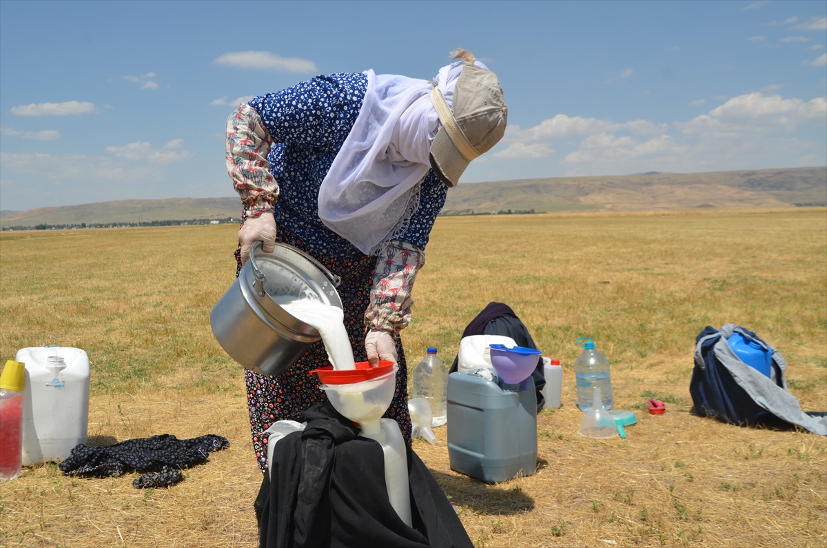 Muşlu kadınlar: Her gün kilometrelerce yol aşıp sürüleri sağıyor