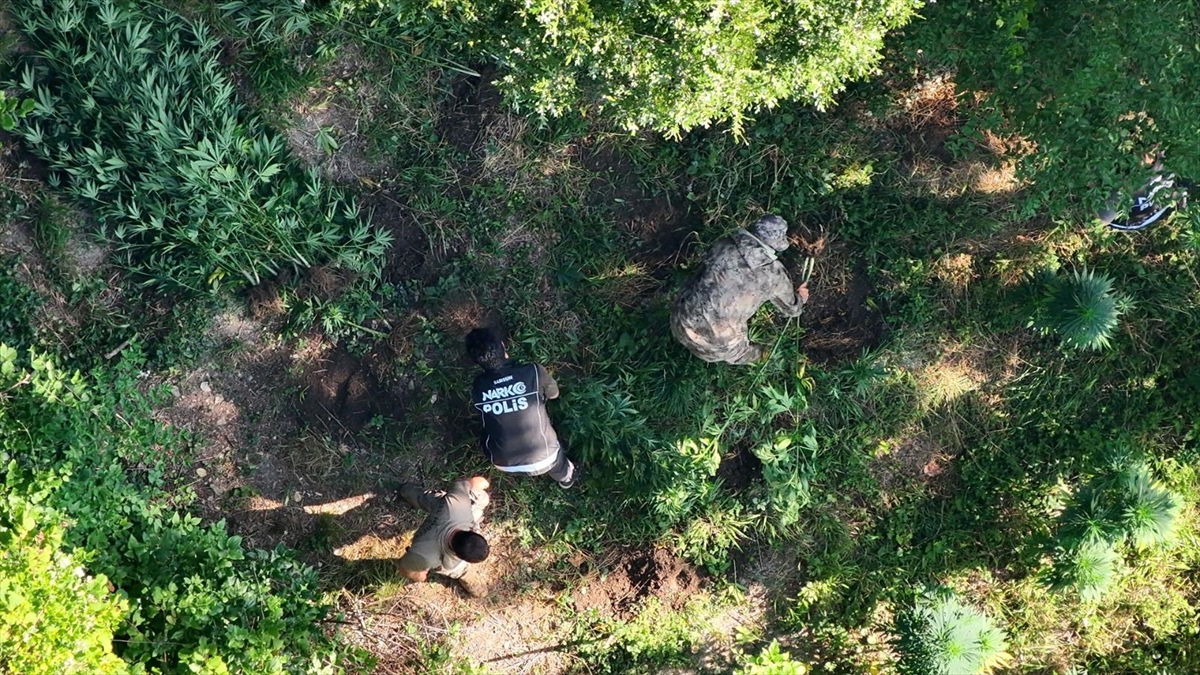 Samsun Bafra'da uyuşturucu operasyonu: 1 kişi tutuklandı