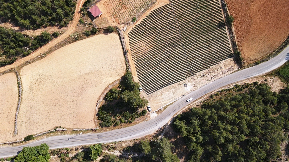 Muğla Çileği Projesi kırsalda üretim ve istihdamı artırdı