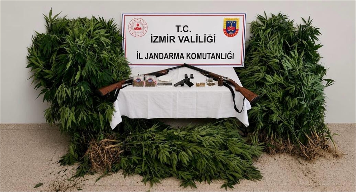İzmir'de fotokapanla yakalanan uyuşturucu yetiştiricisi tutuklandı