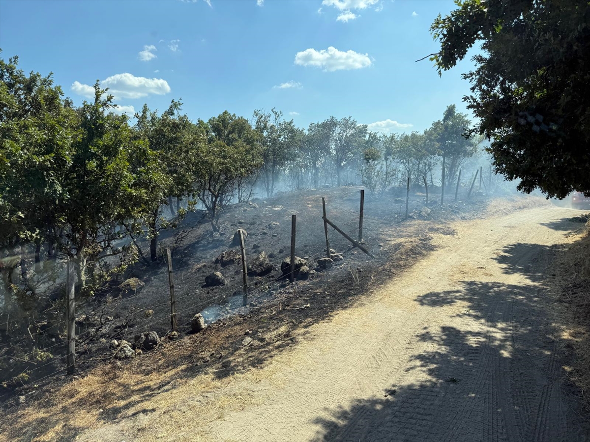 Çanakkale Yenice'de çıkan orman yangını söndürüldü