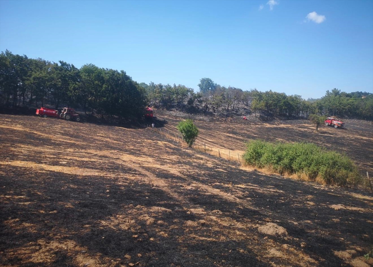 Çanakkale Yenice'de çıkan orman yangını söndürüldü