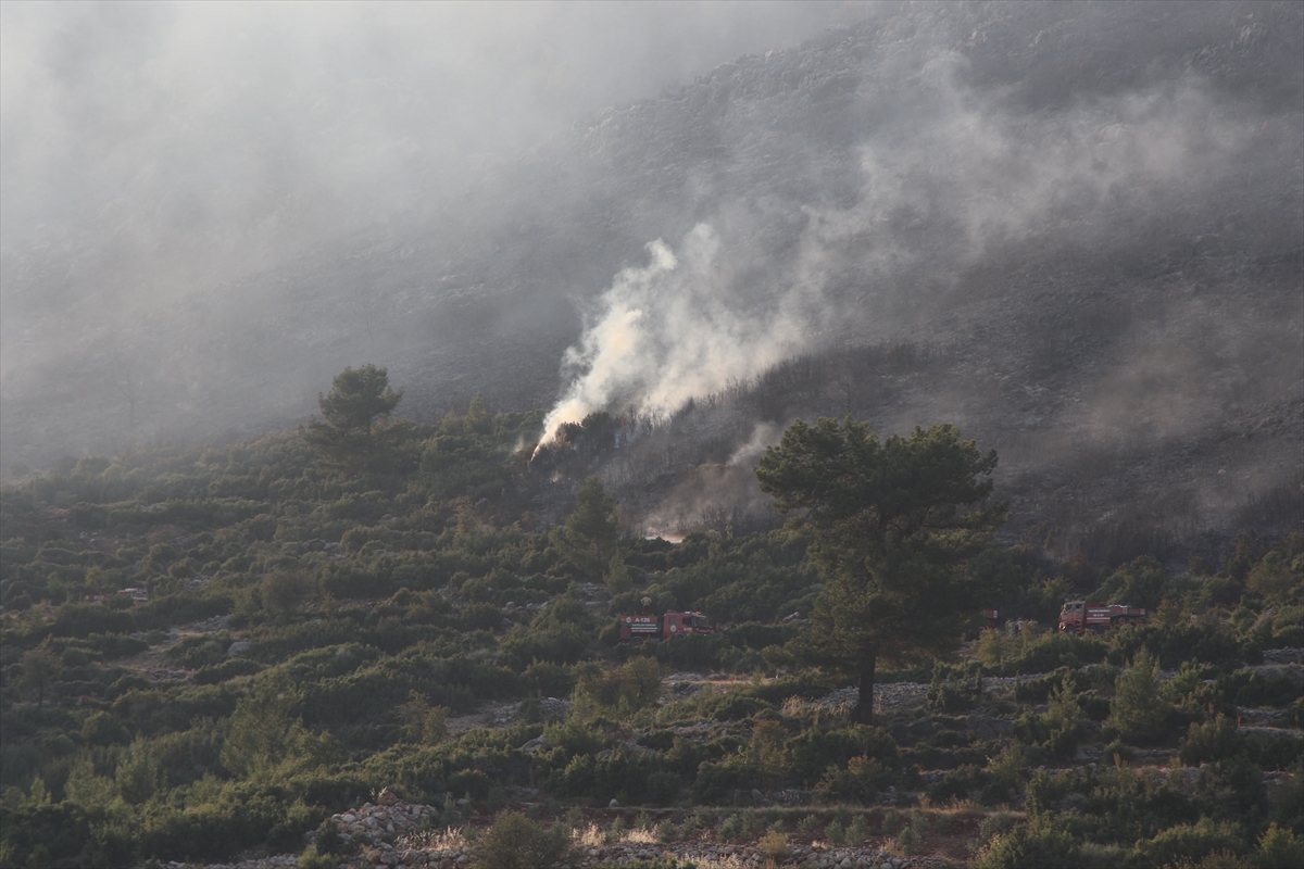 Kaş'taki orman yangınına ekiplerin karadan müdahalesi akşam saatlerinde de sürüyor