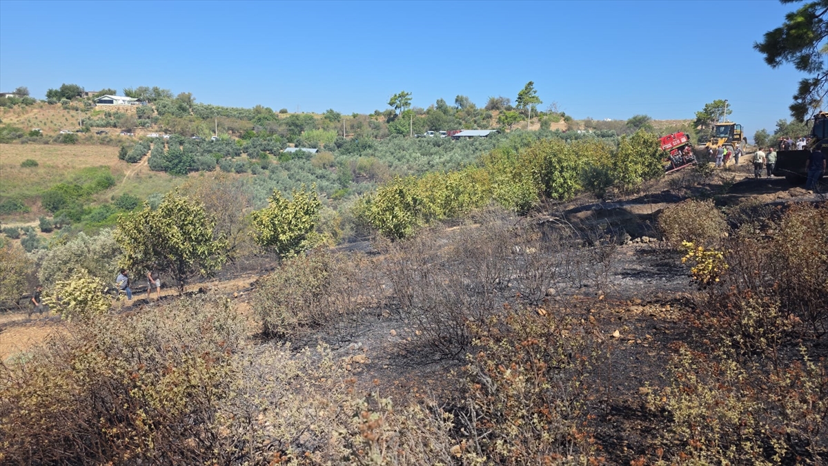 Manavgat'ta tarım arazisinde çıkan yangın kontrol altına alındı