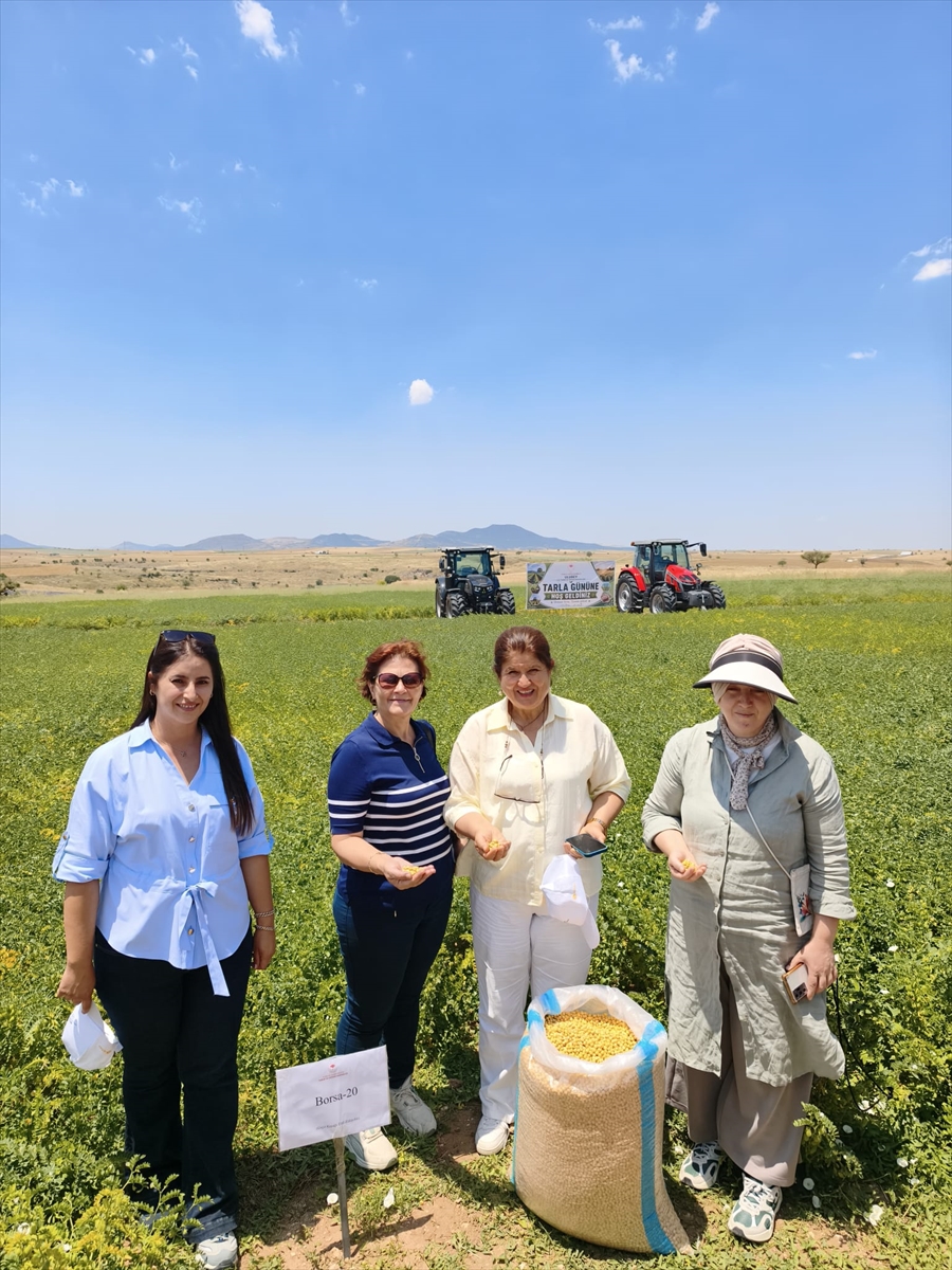 Denizli Ticaret Borsası: Yeni nohut çeşidi farklı illerde başarılı