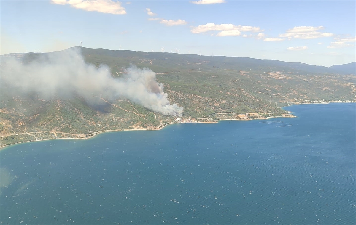 Yalova'da çıkan orman yangınına müdahale ediliyor